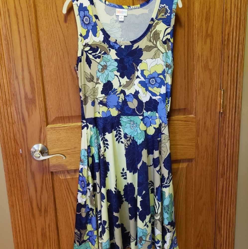 Super cute Lularoe Nicki Dress, Size Medium NWOT